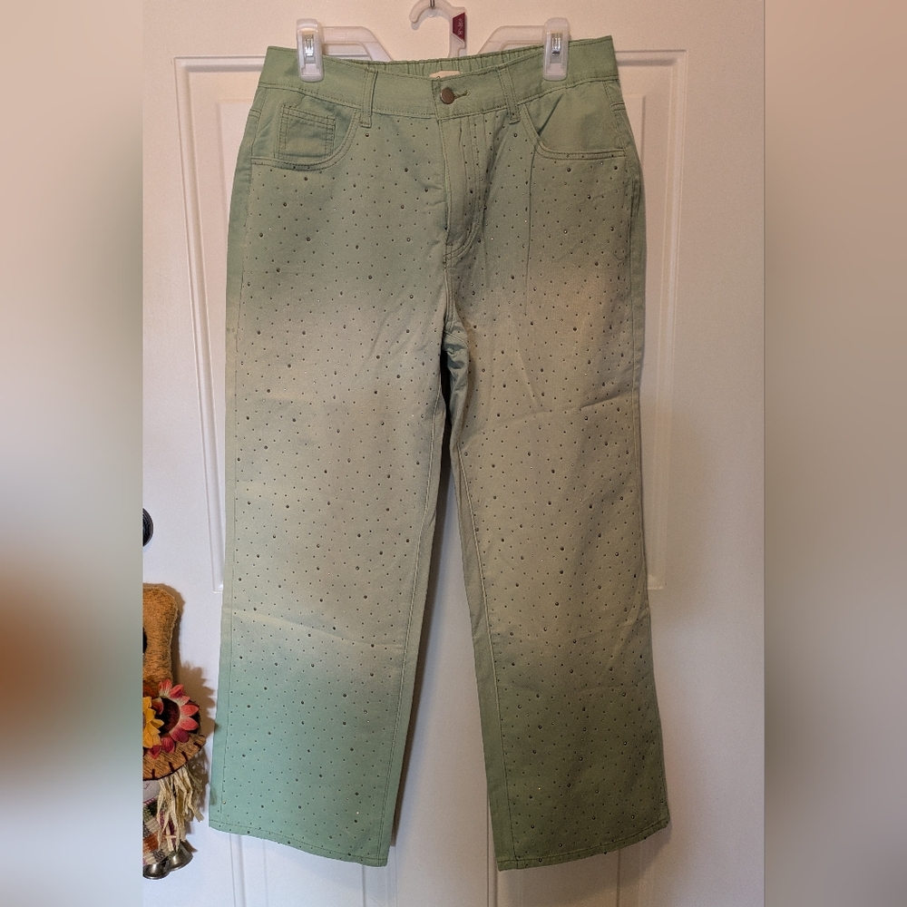 POL Sage Green Pants NWOT